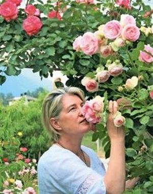 Profilbild Erika Hofer